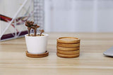 T4U 2.5 Inch Bamboo Round Small Size Bamboo Tray Set of 6