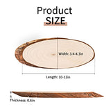 FEZZIA Natural Wood Slices, 3Pcs Unfinished Oval Shaped Wood Slice with bark for Sign Decorations, Painting DIY Crafts, Christmas Ornaments, Length 10-12 inches and Width 3.5-4.3 inches