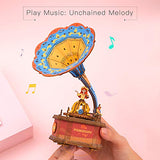 Rolife DIY Music Box Vintage Gramophone 3D Wooden Puzzle Crafts for Adults