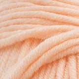 Sugar Bush Yarn Bold Knitting Worsted Weight, Pacific Peach