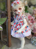 LUSHUN Giant Baby BJD Doll 1/6 Giant Baby SD Doll 10 inch Ball Jointed Dolls, Flower Print Skirt with Bow Hairpin, 26 Ball Joints Doll,Best with Glass Eyes Gift for Girls