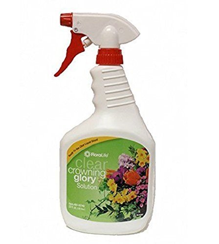 Crowning Glory Flower Spray 32 Fl. Oz