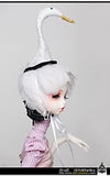 Zgmd 1/4 BJD doll ball neck baby white swan DC doll Is made up by the body and head