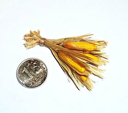 Rustic corn,a bunch of corn. Dollhouse miniature 1:12