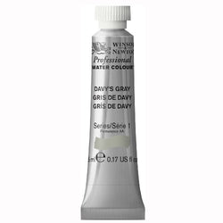Winsor & Newton Professional Water Color Tube, 5ml, Davy's Gray
