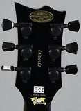 ESP Exhibition Limited Eclipse-CTM Nakatani Original Electric Guitar