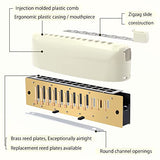 KONGSHENG cx 12 Hole Chromatic Modern Harmonica key of C for Beginners and Professional Adults with Unique Design