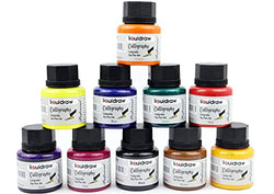 Liquidraw Acrylic Inks For Artists Set Of 10 Ink Set 35ml