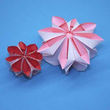 LaFosse & Alexander's Origami Flowers Kit: Lifelike Paper Flowers to Brighten Up Your Life: Kit with Origami Book, 180 High-Quality Origami Papers, 20 Projects & DVD