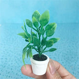 PULABO Delicate Dollhouse Miniature Bonsai Cute Mini Doll House Potted Plant Creative Decoration Accessories Vivid Toy Model Green Excellent Quality and Creative Practical