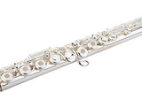 Glory Silver Plated Intermediate 17keys, Open/closed Hole C Flute with B Foot Joint,Offset G, with Case,cleaning Rod, Cloth, Joint Grease, and Gloves