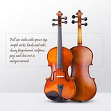 Vangoa Solid Wood Acoustic Violin Fiddle Outfit for Beginner Student, 4/4 Full size