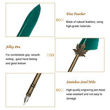 Ahier Quill Pen and Ink Set, Feather Pen Quill Pen Set Includes 5 Steel Replacement Nibs,Pen Nib Base and Dip Ink Bottle for Antique Calligraphy