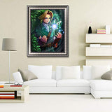 5D DIY Diamond Painting The Legend of Zelda 16X20 inches Full Round Drill Rhinestone Embroidery for Wall Decoration