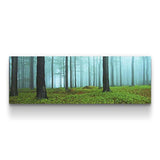 Startonight Canvas Wall Art Morning the Woods - Nature Framed 16 x 48 Inches