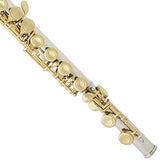 Mendini by Cecilio Premium Grade Closed Hole C Flute with Stand, Book, Deluxe Case and Warranty (Nickel Plated + Gold Keys)