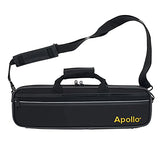Apollo Flute with C foot, complete with case and accessories