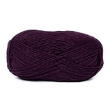 Blend Alpaca Yarn Wool 2 Skeins 200 Grams Worsted Weight - Heavenly Soft and Perfect for Knitting and Crocheting (Plum, Worsted Weight)