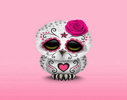 Qoalips Cute Pink Day The Dead Sugar Skull Owl 5D DIY Diamond Painting Kits for Adults, Diamond Painting Accessories by Numbers Full Drill, 16x20 Inch