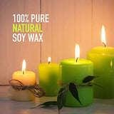 Oraganix Natural Soy Wax DIY Candle Making Kit and Candle Making Supplies - 2 lbs Premium Soy Candle Wax, 10 6-Inch Pre-Waxed Candle Wicks, 2 Metal Centering Devices