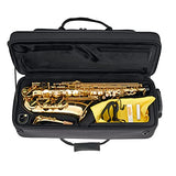 Apollo Alto Saxophone in gold lacquer with leather pads, complete with case and accessories & Neotech Saxophone Strap Regular Swivel Hook, Black (1901162)