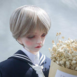 XSHION 1/4 BJD Doll Wigs 7-8 Inch, Heat Resistant Fiber Male Wig Short Wig Ball Joints Doll Wig,Only Wig