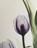 HLJ ART 4 Panel Elegant Tulip Purple Flower Canvas Print Wall Art Painting for Living Room Decor and Modern Home Decorations Photo Prints 12x12inch (Purple S)