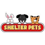 Shelter Pets Series Two: Jeffrey - 10" Orange and White Cat Plush Toy Stuffed Animal - Based on Real-Life Adopted Pets - Benefiting The Animal Shelters They were Adopted from - Kitten Kitty