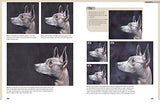 Drawing Animal Portraits in Coloured Pencil