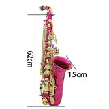 ammoon Saxophone Brass Engraved Eb E-Flat Alto Sax with Case Cleaning Cloth Belt Brush