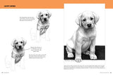 Drawing: Dogs & Puppies: Learn to draw step by step (How to Draw & Paint)