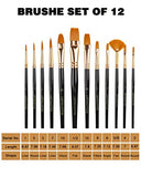 ARTMASTER Paint Brushes Set of 12 Artist Paint Brushes Nylon Bristle for Kids & Adult,Beginner & Professional Great for Watercolor, Acrylic Paintbrushes