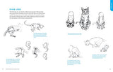 How to Draw Cats and Kittens: A Complete Guide for Beginners