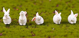 Easy 99 Mini Animals Miniature Figurines Animals Model Fairy Garden Miniature Moss Landscape DIY Terrarium Crafts Ornament Accessories for Home Décor (Rabbit, Pack of 20)