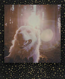 Polaroid Originals - 4932 - Color Film for 600 - Gold Dust Edition