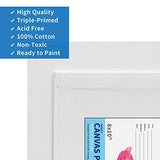FIXSMITH Canvas Panels 30 Pack - 8 x 10 Inch Painting Canvas Panel Boards - 100% Cotton Primed Canvases - Classroom Pack - Artist Canvas Board for Acrylic, Oil & Tempera Painting