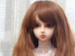 (22~24cm) 1/3 BJD Doll SD Fur Wig Dollfie / Brown / Long Curl Hair / FBE023