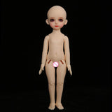 W&Y 1/6 SD Doll BJD Dolls Full Set 26Cm 10Inch Jointed Dolls Toy Action Figure + Makeup + Clothes Accessory, Best Gift for Girls