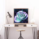 Flower Diamond Painting Kits for Adults, 5D Crystal Diamonds Art with Accessories Tools, White Rose DIY Art Dotz Craft for Home Décor, Ideal Gift or Self Painting