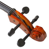 4/4 Acoustic Cello Case Bow Rosin.A Superior Present for Music Enthusiasts. A Superior Present for Music Enthusiasts