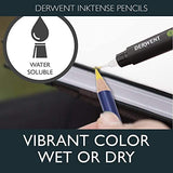 Derwent Inktense Pencils 12 Tin, Premium 4mm Round Core, Firm Texture Water-Soluble, Ideal for Watercolor Drawing, Coloring and Painting on Paper and Fabric with Derwent Graphic Drawing Pencils 12 Tin