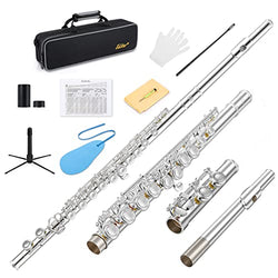 Eastar EFL-1S Closed Hole Flute 16 Keys C Flute for Beginner Student, Flute Instrument with Cleaning Kit, Stand, Case, Gloves, Tuning Rod, Fingering Chart, Silver Plated