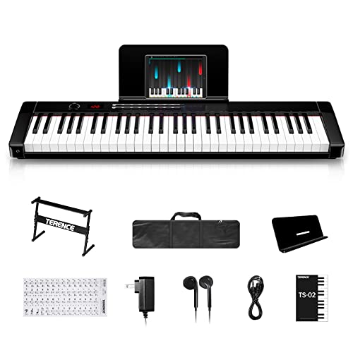 Shop TERENCE Keyboard Piano with 61 Semi weig at Artsy Sister