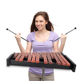 TNZMART 25 Note Xylophone Wooden Glockenspiel Xylophone with Mallet Professional Percussion Instrument (Xylophone with stand)