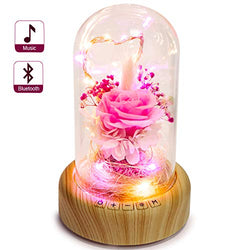 SWEETIME Enchanted Rose Lamp with Bluetooth Speaker, Real Flower LED Night Light, Preserved Pink