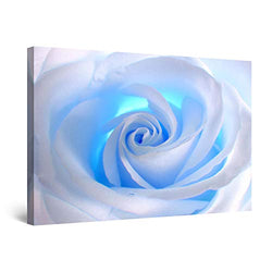 Startonight Canvas Wall Art - White Rose Abstract Flower, Framed 24 x 36 Inches
