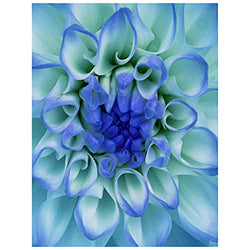 Magic Diamond Painting Blue Flower Petals Dahlia DIY Diamond Painting Kit 5d Fashion Diamond Painting Kit Paint by Numbers Arts Craft for Home Wall Decor