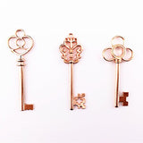 Aokbean Vintage Skeleton keys in Rose Gold Style - Set of 30pcs (Rose Gold)