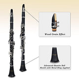 Aileen Lexington CL3041N Bb Flat 17 Key Clarinet with Mouthpiece, Hard Case, Cork Grease, Gloves and Other Kit