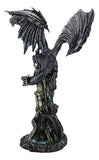 Ebros Large 23.5" Tall Ancient Black Ghost Dragon Guarding Castle Rampart ATOP A Rocky Cliff by River Bank Statue Mythical Fantasy Dungeons and Dragons Home Decor Mantelpiece Centerpiece Figurine